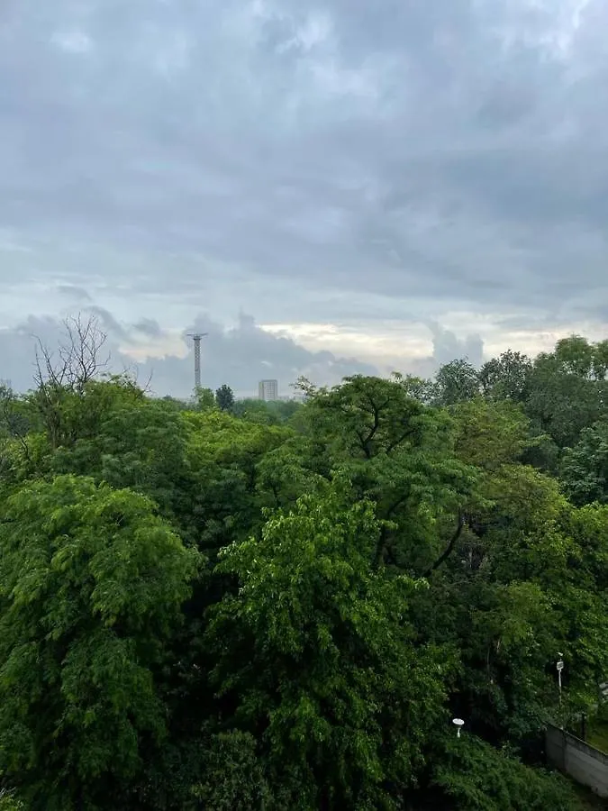 Garsoniera-Studio Oxygen-40Mp Nou Direct In Plaminul Verde Al Parcului National ! Parcare Privata Doar Cu Rezervare In Limita Locurilor Disponibile ! Proprietate In Regim Hoteliep - Nu Are Bucatarie ! Bucharest Apartment